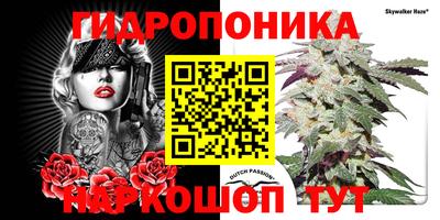 a pvp Ипатово