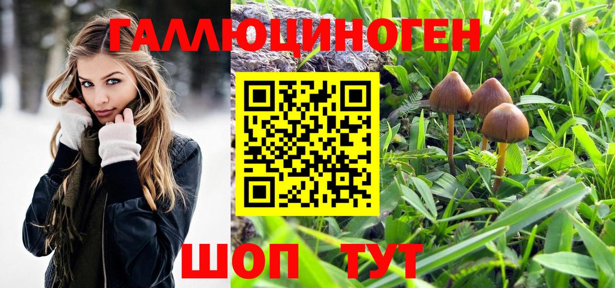 Муром  Псилоцибиновые грибы Psilocybe  Вход с VPN 