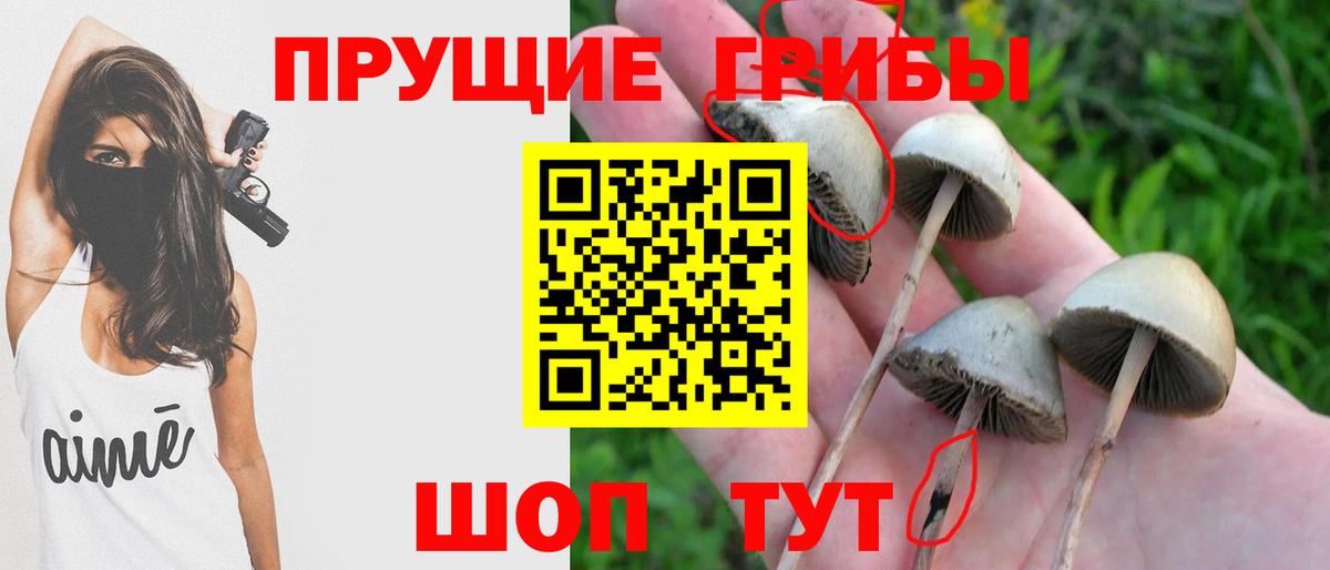 Галлюциногенные грибы мухоморы Муром